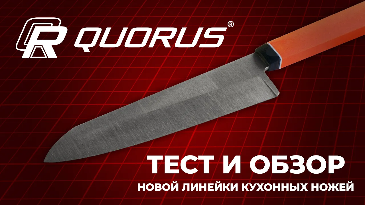 Обзор силовых моделей QUORUS